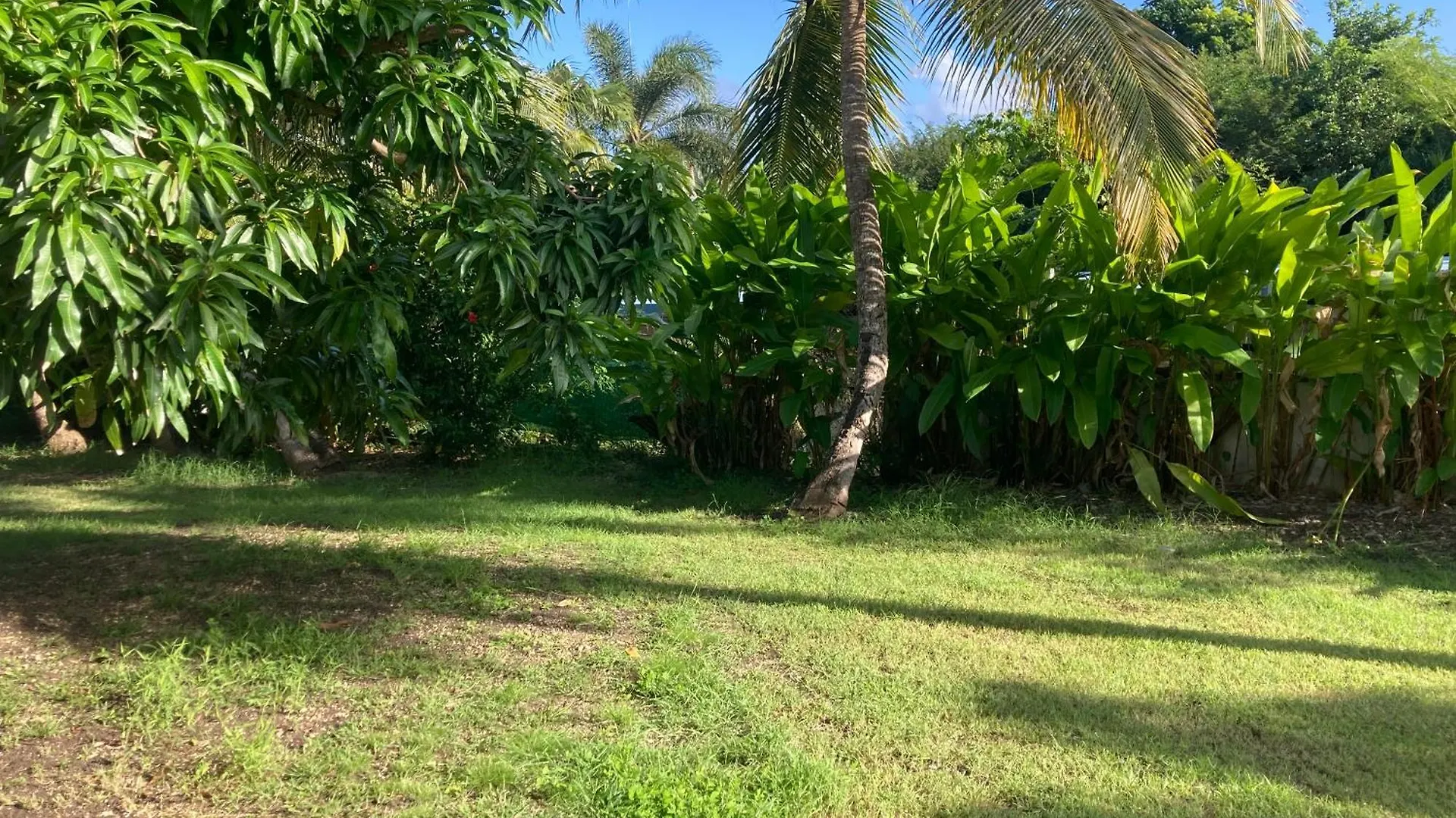 Residence Acacia Belle-Allee Guadeloupe