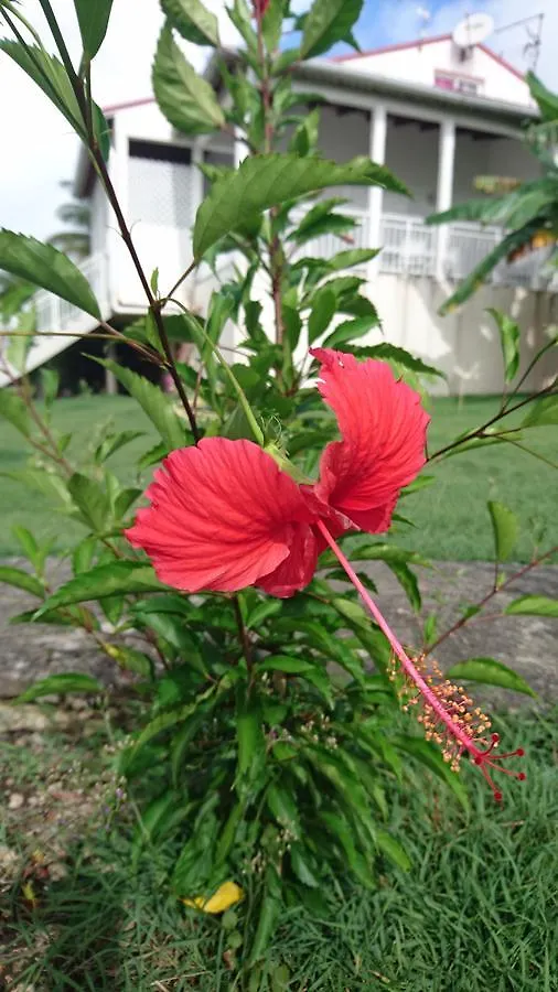 Residence Acacia Belle-Allee Guadeloupe