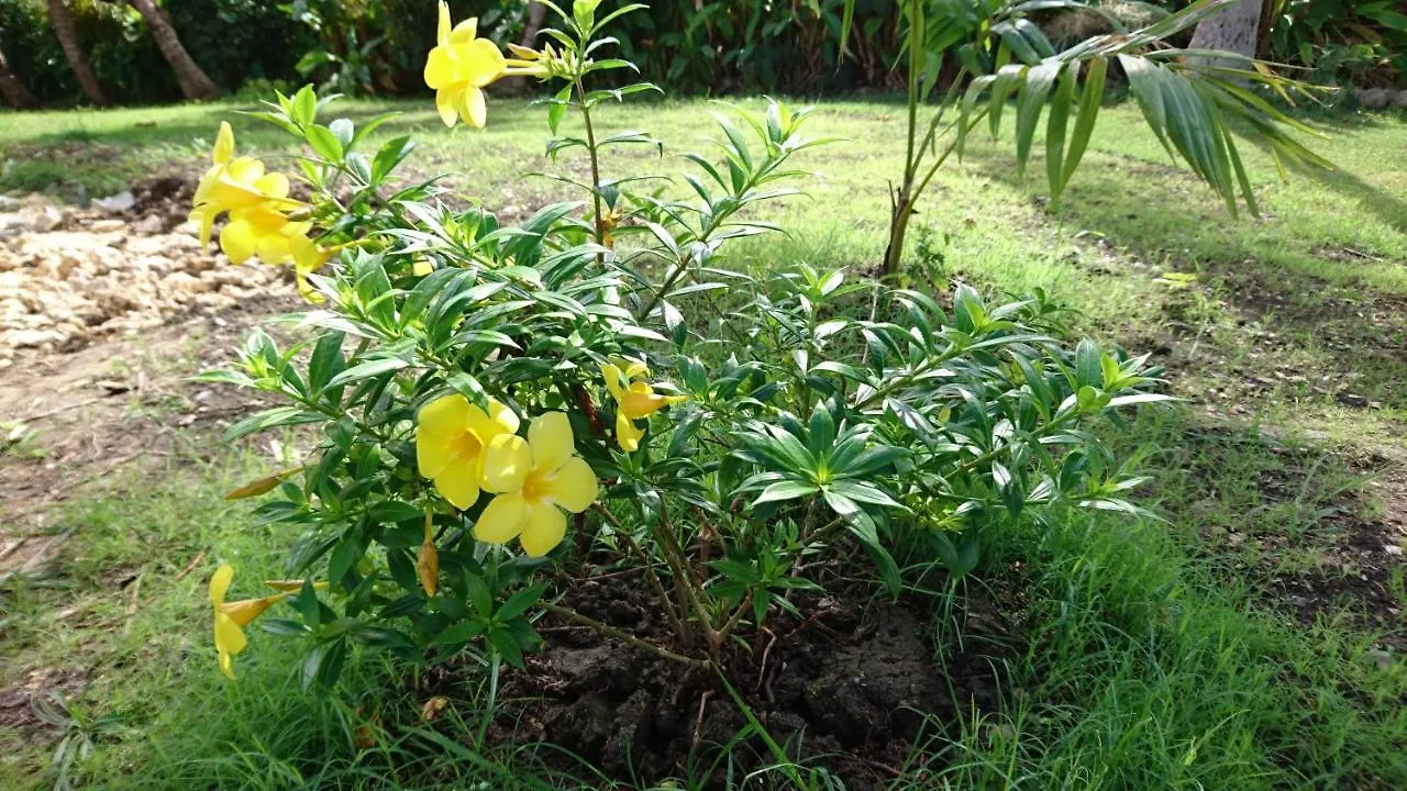 Residence Acacia Belle-Allee 0*,  Guadeloupe